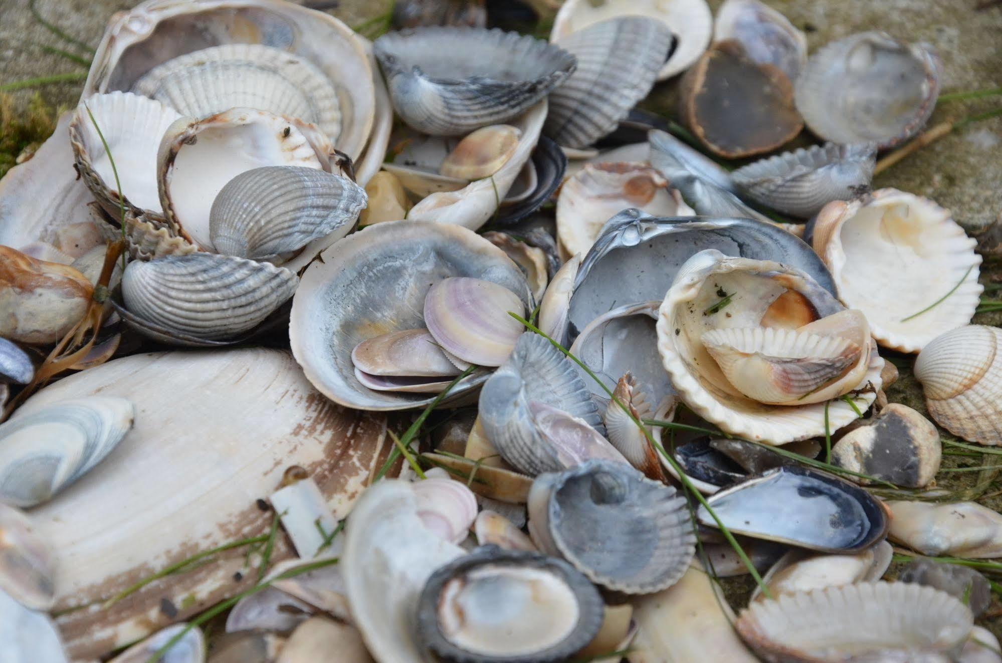 Dormio Resort Berck Sur Mer Kültér fotó